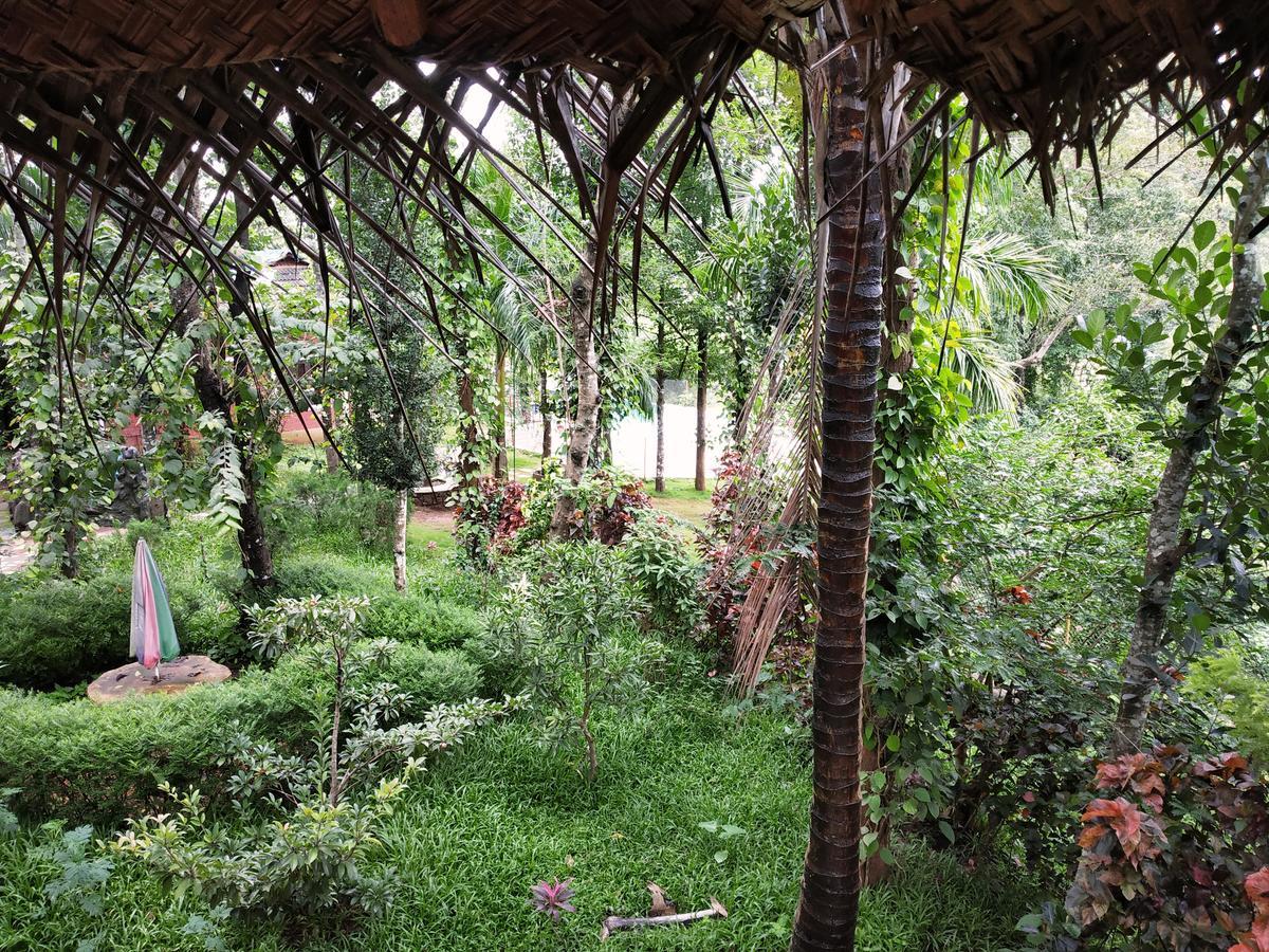 Pepper Green Wayanad Resort With Swimming Pool Kattikkulam Exterior foto