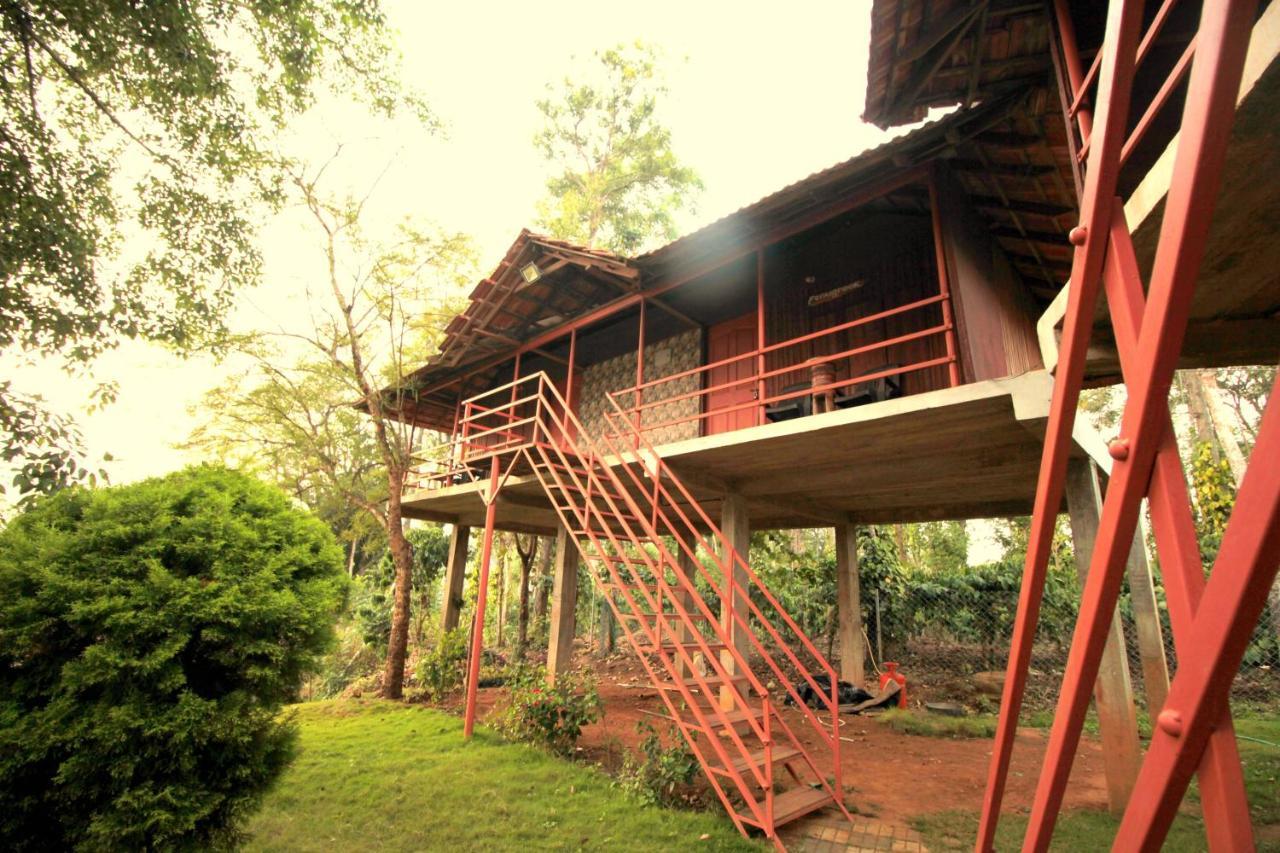 Pepper Green Wayanad Resort With Swimming Pool Kattikkulam Exterior foto
