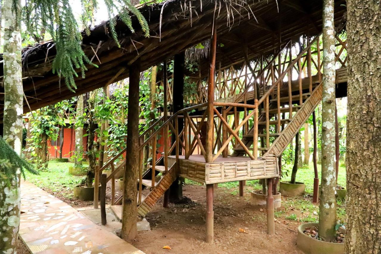 Pepper Green Wayanad Resort With Swimming Pool Kattikkulam Exterior foto