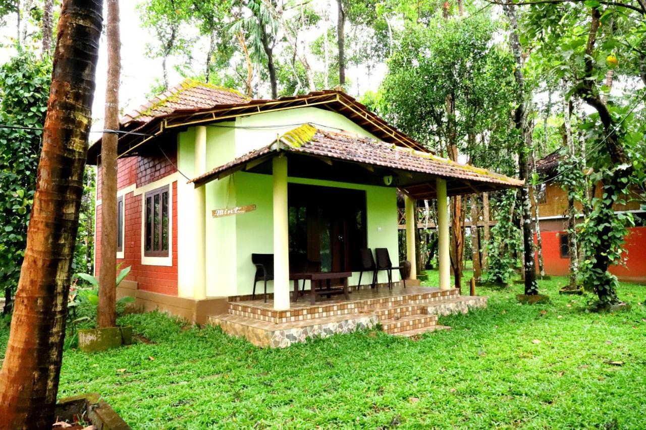 Pepper Green Wayanad Resort With Swimming Pool Kattikkulam Exterior foto