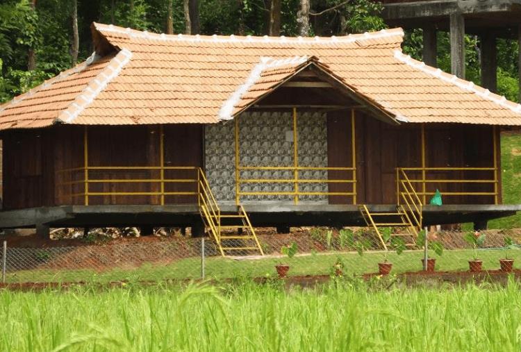Pepper Green Wayanad Resort With Swimming Pool Kattikkulam Exterior foto